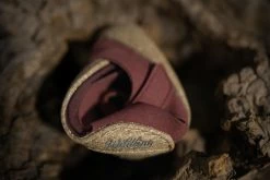 Wildling Shoes B_Amarantfeder