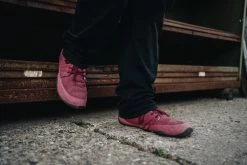 Wildling Shoes Holunder