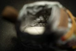 Wildling Shoes B_Eden