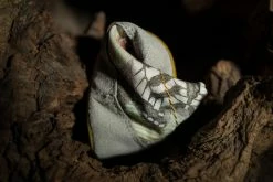 Wildling Shoes B_Eden