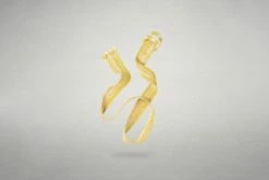 Wildling Shoes Gürtel